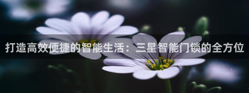 jdb电子游戏官方网站：打造高效便捷的智能生活：三星智能门锁