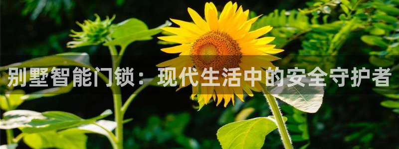 jdbc注册与登录：别墅智能门锁：现代生活中的安全守护者