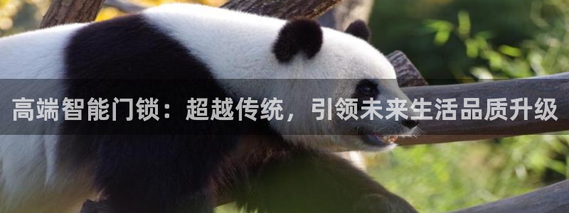 下载jdbc：高端智能门锁：超越传统，引领未来生活品质升级