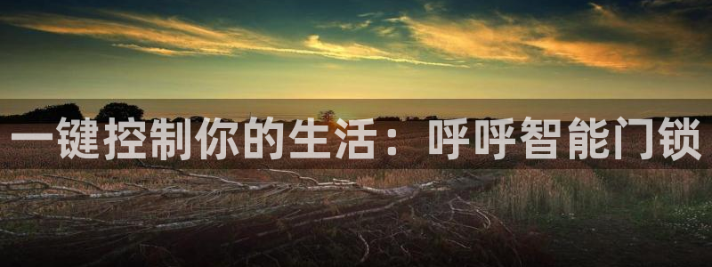 jdb在线平台：一键控制你的生活：呼呼智能门锁