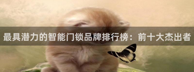 jdb中奖视频：最具潜力的智能门锁品牌排行榜：前十大杰出者