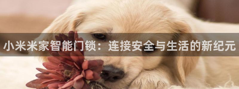 夺宝jdb电子变脸：小米米家智能门锁：连接安全与生活的新纪元