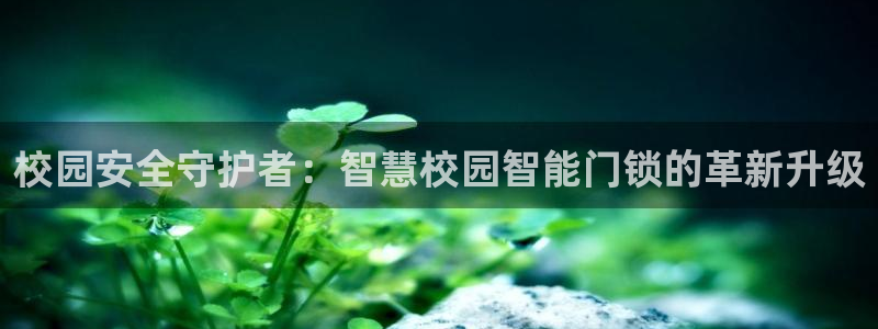 jdb电子金刚玩法：校园安全守护者：智慧校园智能门锁的革新升
