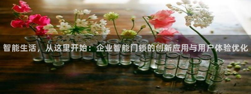 jdb电子技巧金刚：智能生活，从这里开始：企业智能门锁的创新