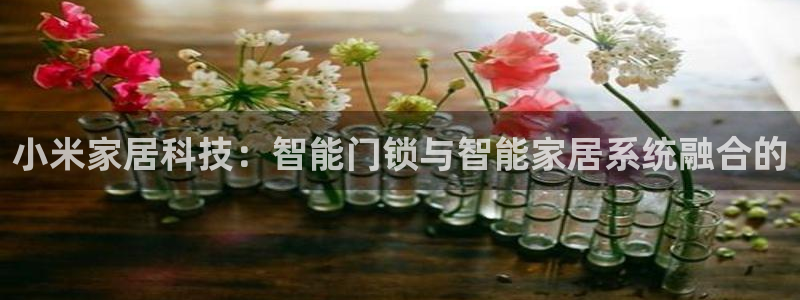 jdb电子平台首页：小米家居科技：智能门锁与智能家居系统融合
