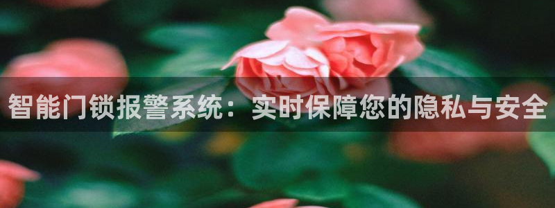 JDB平台最简单下载：智能门锁报警系统：实时保障您的隐私与安