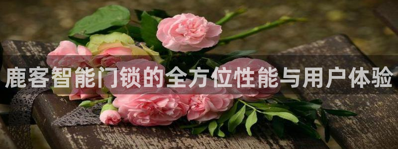 jdb电子网站尙11yb tv：鹿客智能门锁的全方位性能与用