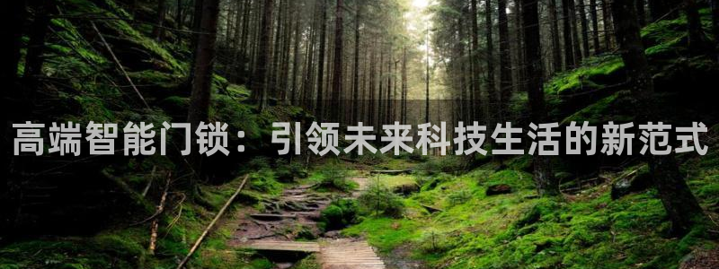 jdb飞鸟派对五千倍图：高端智能门锁：引领未来科技生活的新范