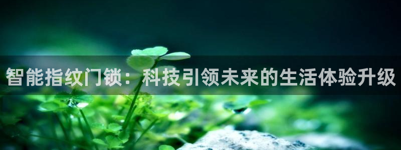 jdb游戏财神捕鱼：智能指纹门锁：科技引领未来的生活体验升级