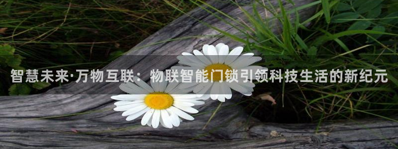 JDB电子官方：智慧未来·万物互联：物联智能门锁引领科技生活