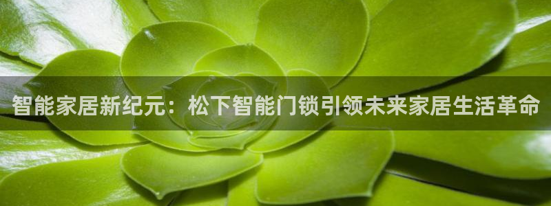jdb电子台湾黑熊怎么玩：智能家居新纪元：松下智能门锁引领未