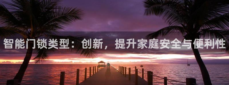 jdb电子体育：智能门锁类型：创新，提升家庭安全与便利性