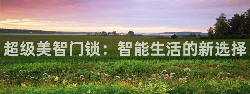jdb电子龙舞技巧：超级美智门锁：智能生活的新选择