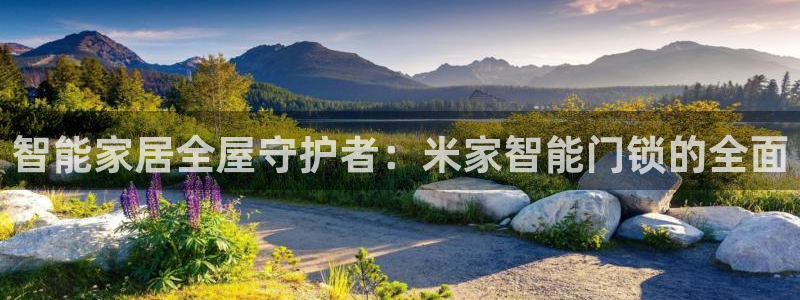 jdb电子有多坑：智能家居全屋守护者：米家智能门锁的全面