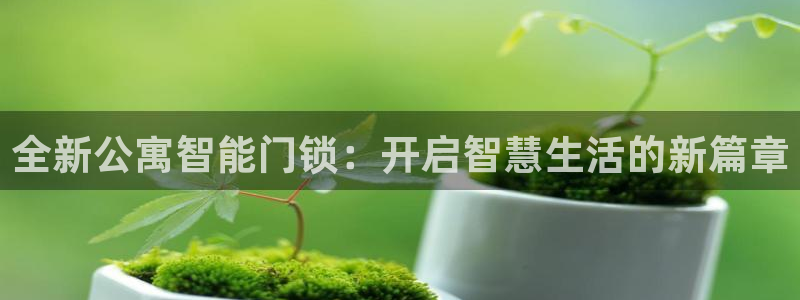 jdb电子夺宝游戏平台：全新公寓智能门锁：开启智慧生活的新篇