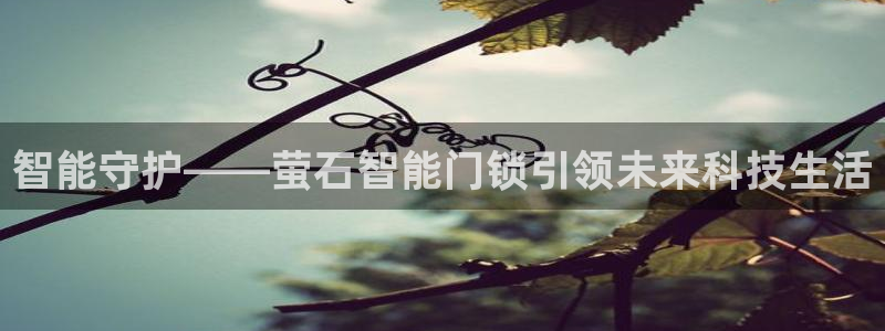 jdb试玩网站：智能守护——萤石智能门锁引领未来科技生活