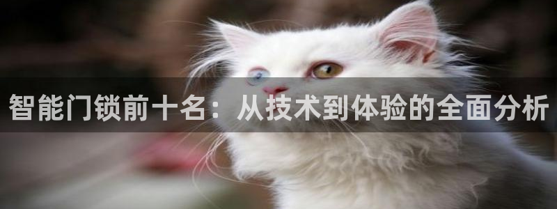 jdb电子游戏浪花2视频：智能门锁前十名：从技术到体验的全面