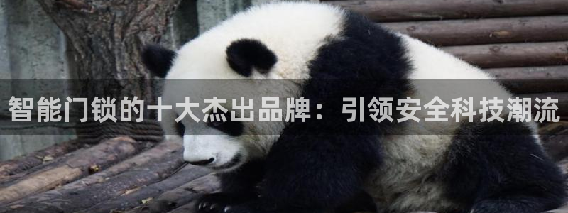 jdb电子夺宝游戏作弊：智能门锁的十大杰出品牌：引领安全科技