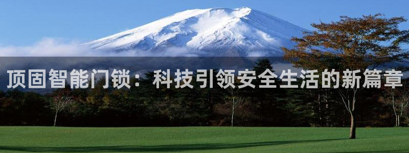 jdbc实现登录注册：顶固智能门锁：科技引领安全生活的新篇章