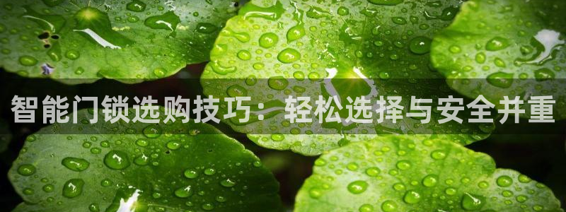 jdb电子游戏稳赚技巧：智能门锁选购技巧：轻松选择与安全并重