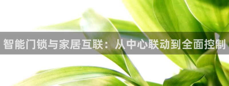 jdb变脸怎么算倍数：智能门锁与家居互联：从中心联动到全面控