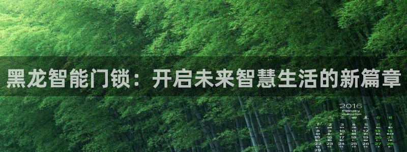 jdb游戏平台官网：黑龙智能门锁：开启未来智慧生活的新篇章
