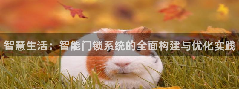 jdb电子金刚倍率：智慧生活：智能门锁系统的全面构建与优化实