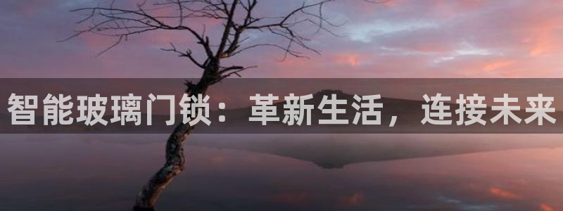 jdb试玩2000：智能玻璃门锁：革新生活，连接未来