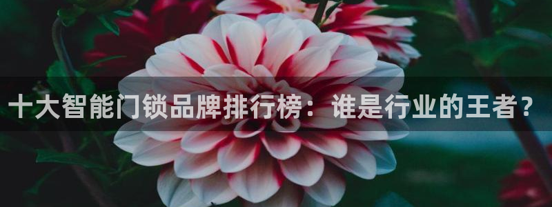 jdbs bot：十大智能门锁品牌排行榜：谁是行业的王者？