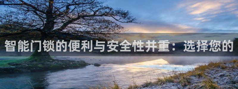 jdb电子飞鸟派对高倍技巧：智能门锁的便利与安全性并重：选择