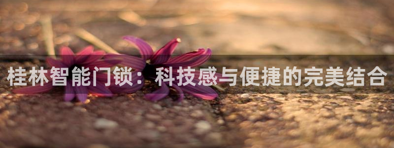 jdb电子超级巨奖视频：桂林智能门锁：科技感与便捷的完美结合