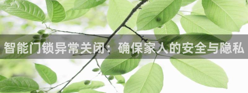 jdbc用户注册：智能门锁异常关闭：确保家人的安全与隐私