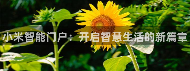 jdb电子技巧金刚：小米智能门户：开启智慧生活的新篇章