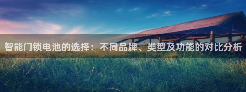 jdb电子游戏稳赚技巧：智能门锁电池的选择：不同品牌、类型及