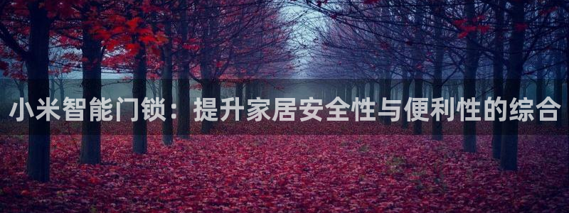 jdb电子爆奖视频好运夺宝：小米智能门锁：提升家居安全性与便