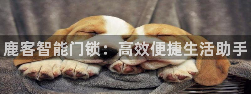 jdb电子变脸2出十个是多少倍：鹿客智能门锁：高效便捷生活助