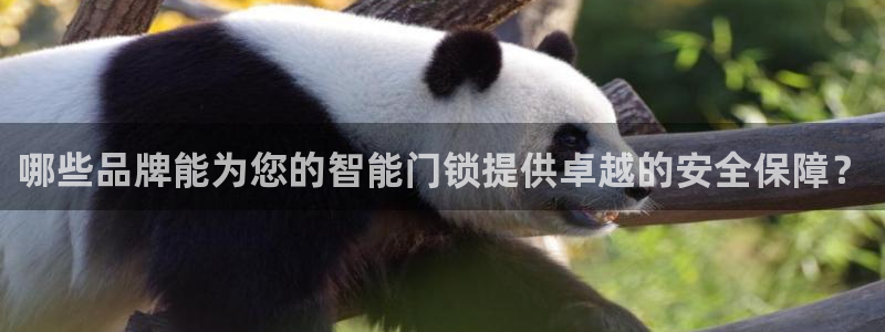 jdb试玩2000：哪些品牌能为您的智能门锁提供卓越的安全保