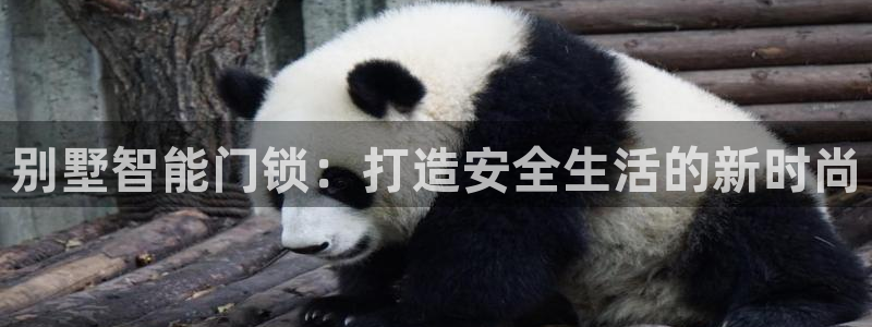 jdb电子官网 ly79,cn：别墅智能门锁：打造安全生活的