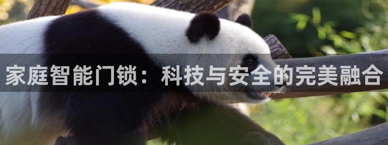 JDB电子猎龙高手官方网站官方网站是多少：家庭智能门锁：科技