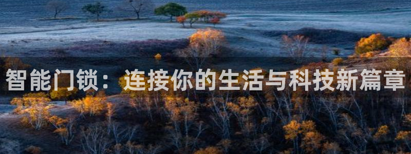 jdb电子模拟器试玩平台：智能门锁：连接你的生活与科技新篇章