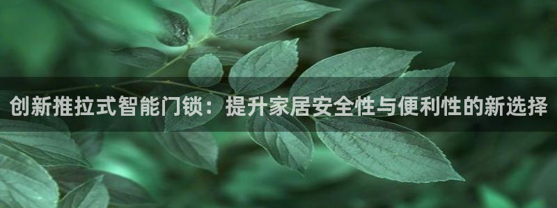 jdb电子金刚大奖视频：创新推拉式智能门锁：提升家居安全性与