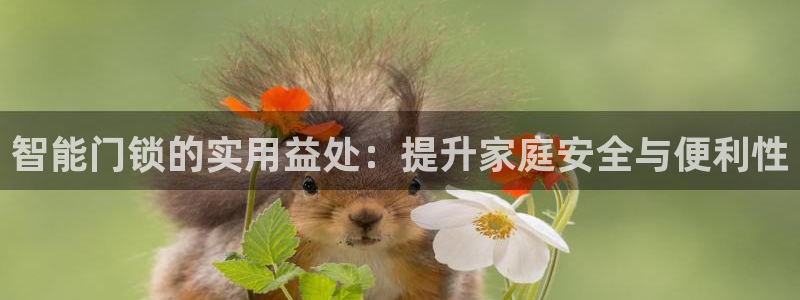 为什么jdb游戏老是输：智能门锁的实用益处：提升家庭安全与便