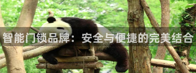 jdb电子游戏平台官网：智能门锁品牌：安全与便捷的完美结合
