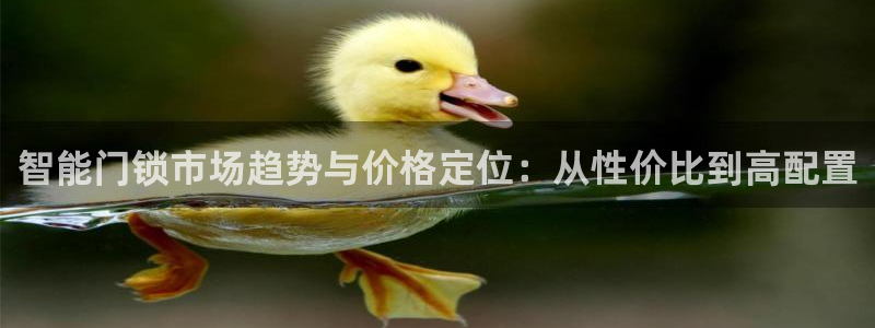 JDB电子富豪哥爆奖视频：智能门锁市场趋势与价格定位：从性价