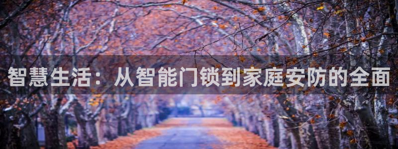 jdb电子官方网站首页官网：智慧生活：从智能门锁到家庭安防的