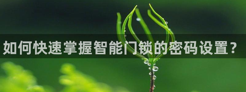 jdb电子平台官网：如何快速掌握智能门锁的密码设置？