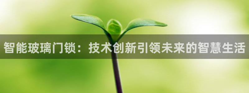 JDB电子游戏视频：智能玻璃门锁：技术创新引领未来的智慧生活