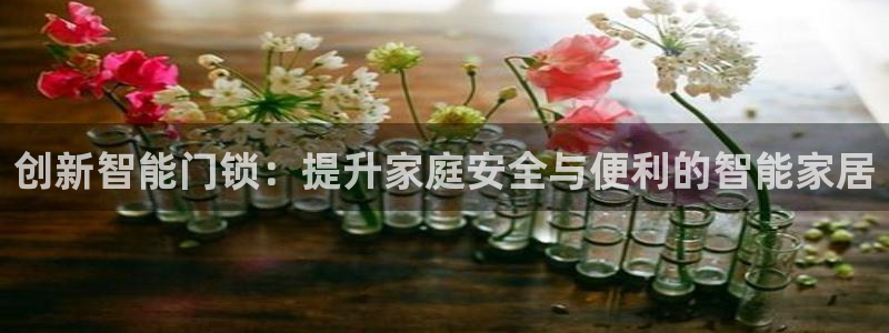 jdb变脸1000倍：创新智能门锁：提升家庭安全与便利的智能