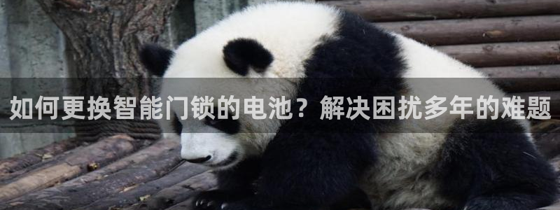 jdb电子平台台湾黑熊：如何更换智能门锁的电池？解决困扰多年