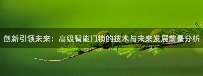 jdb电子官网 ly79,cn：创新引领未来：高级智能门锁的